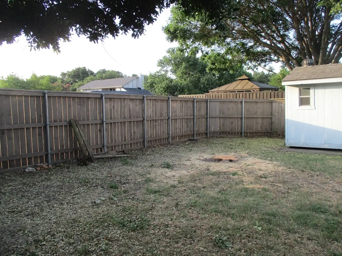 Cleared yard after professional tree removal in West Falls