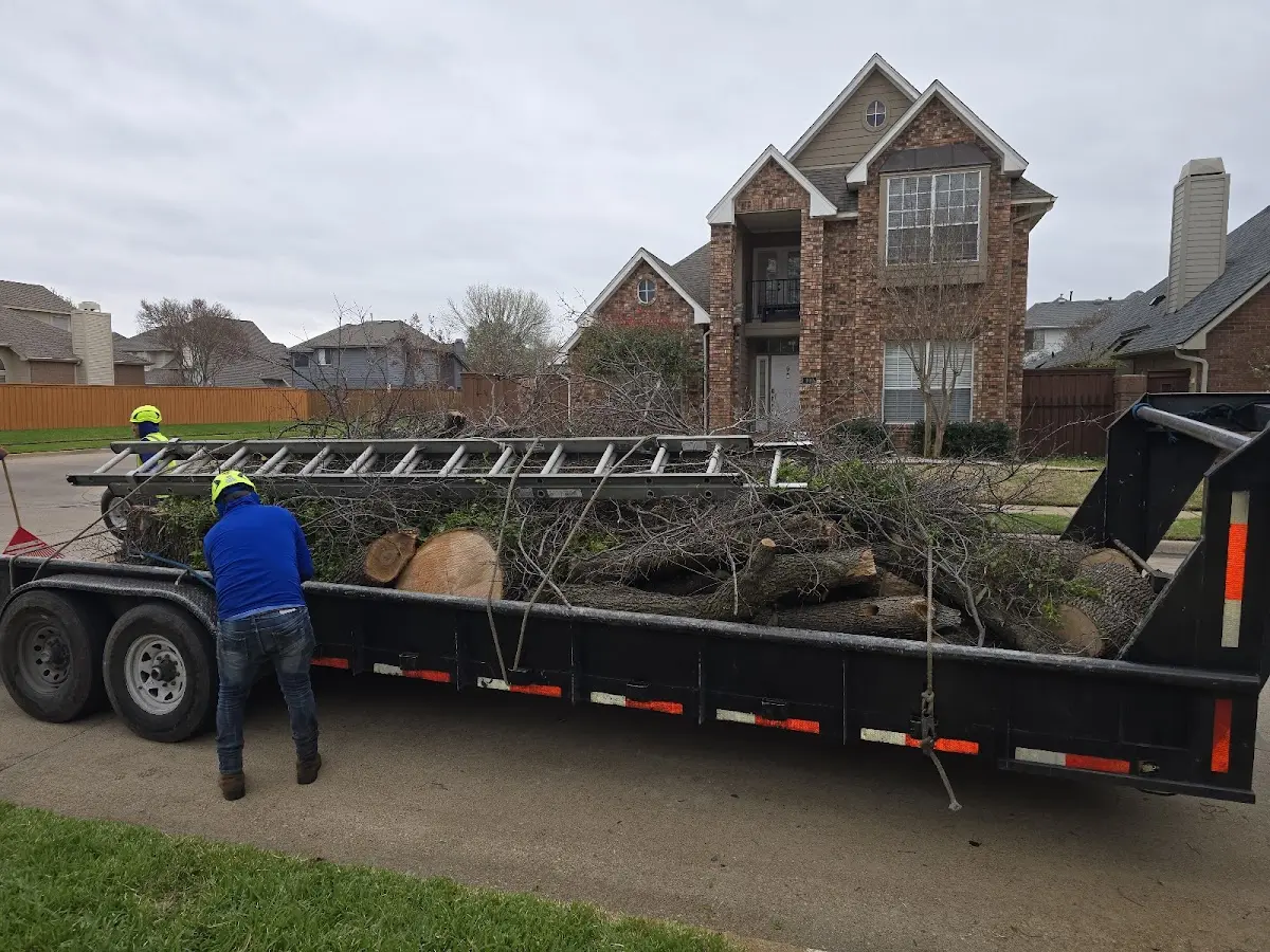 Expert Tree Fertilization with proper safety equipment in West Falls